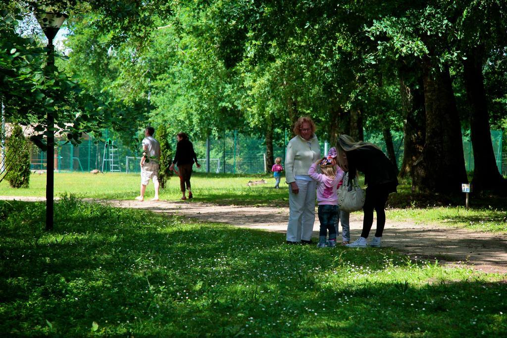 מלון Villandraut Domaine Du Roi Kysmar מראה חיצוני תמונה